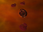 Nebs.png