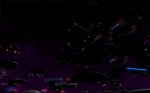 fleet .jpg