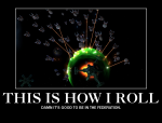 FedRoll.jpg
