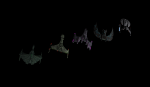 5 confirmed.png