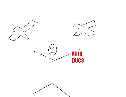 ducs.JPG